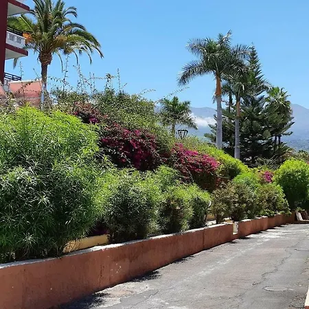 Vainilla Luxury Puerto de la Cruz (Tenerife)